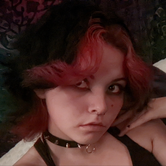 Meet your Posher, Aiden - Picture 1 of 1